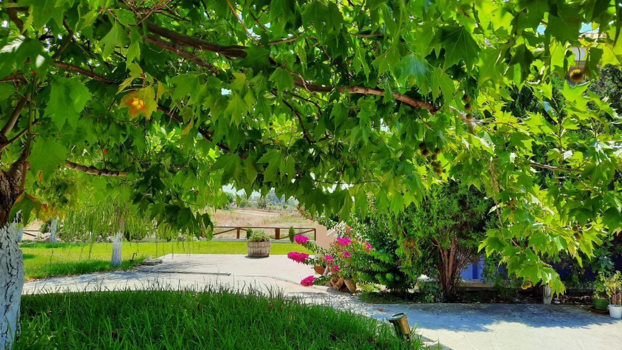 Alekos Beach Houses-Angelo Lixouri Extérieur photo